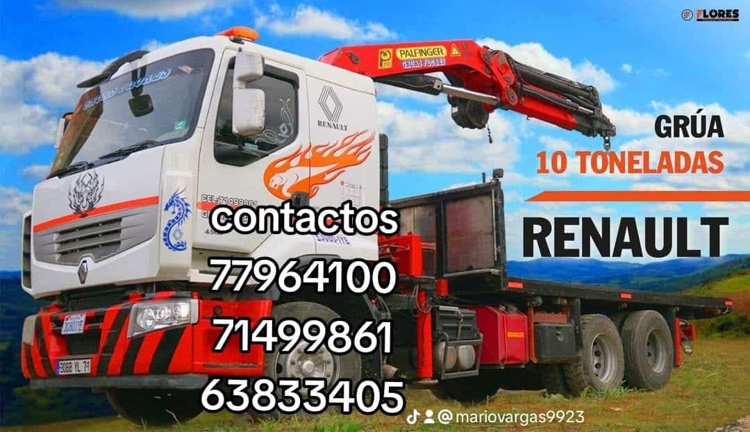 gruas flores 4